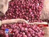 Onion prices expected to fall in the next 2 3 weeks, Says Sharad Pawar - Tv9 Gujarat