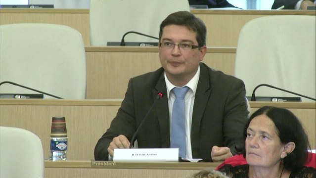 Décision Modificative 2013 - Aurélien FERLAY