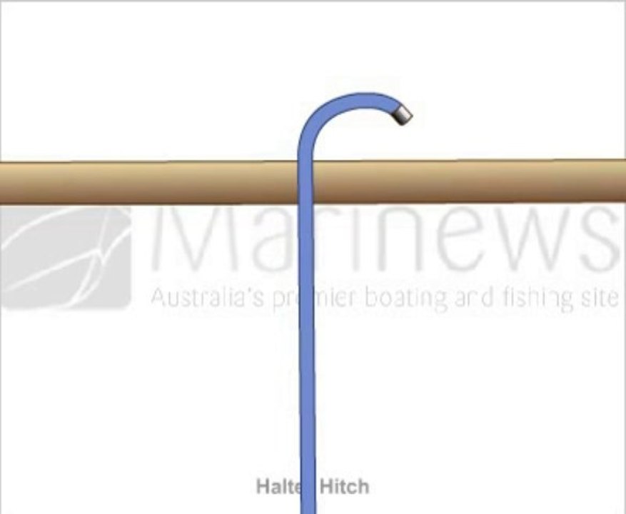 How to tie  Halter Hitch Knot