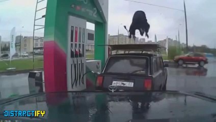 La RUSSIE... Le pays ou tout est plus DANGEREUX!