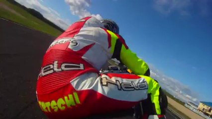 Pannoniaring  Renne Aus Box Ertschi vlg ERTSCH van Heitländer