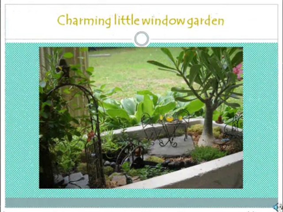 Fairy Garden
