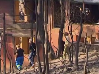 Пожары в Австралии слабнут, но есть новая жертва