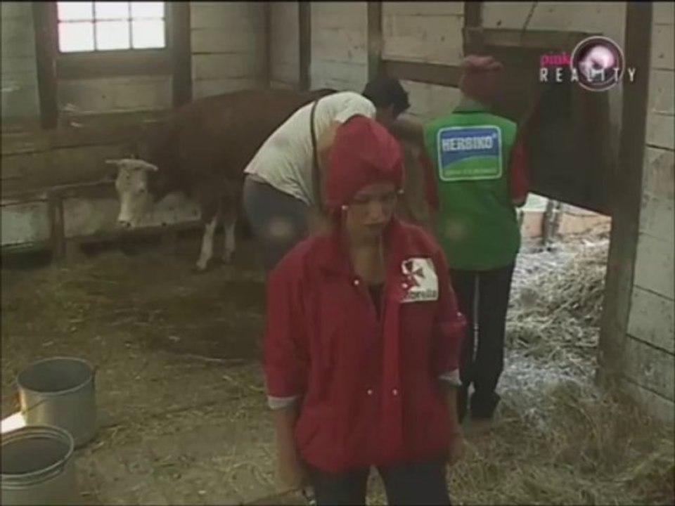 Jeca & Edin u stali -53.dan