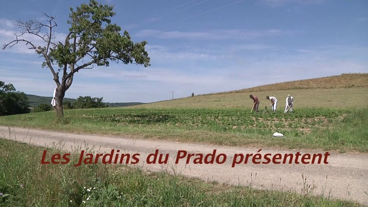 Paniers, charlottes et triandines. Et si on parlait d'égalité ?