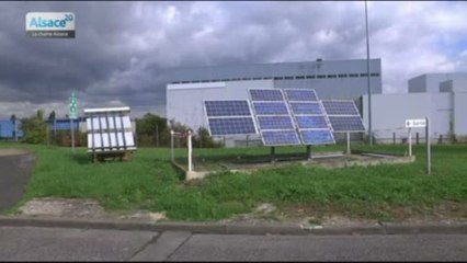 Hebdo DD : Le développement durable en Alsace (23/10/13)