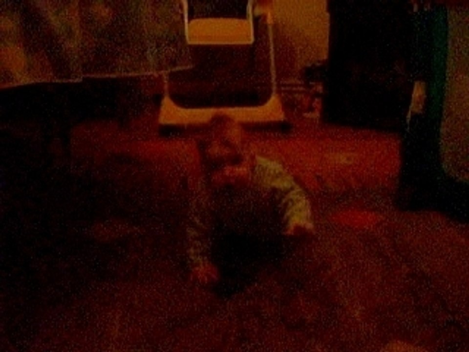 lilou marche a 4 pattes