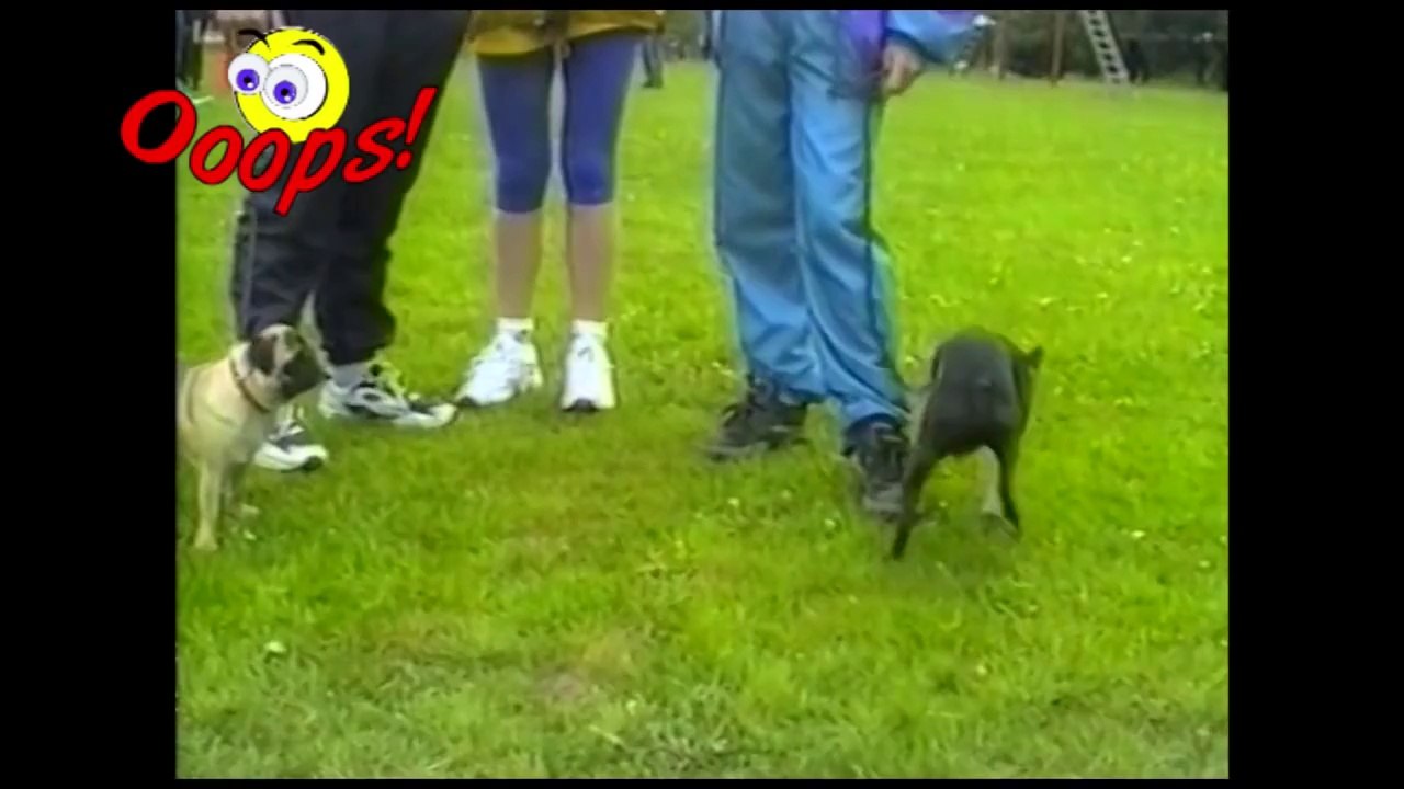 Funny Fail Videos Of April 2012 Compilation