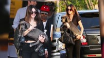 Kendall Jenner debuta su cachorro Gran Danés