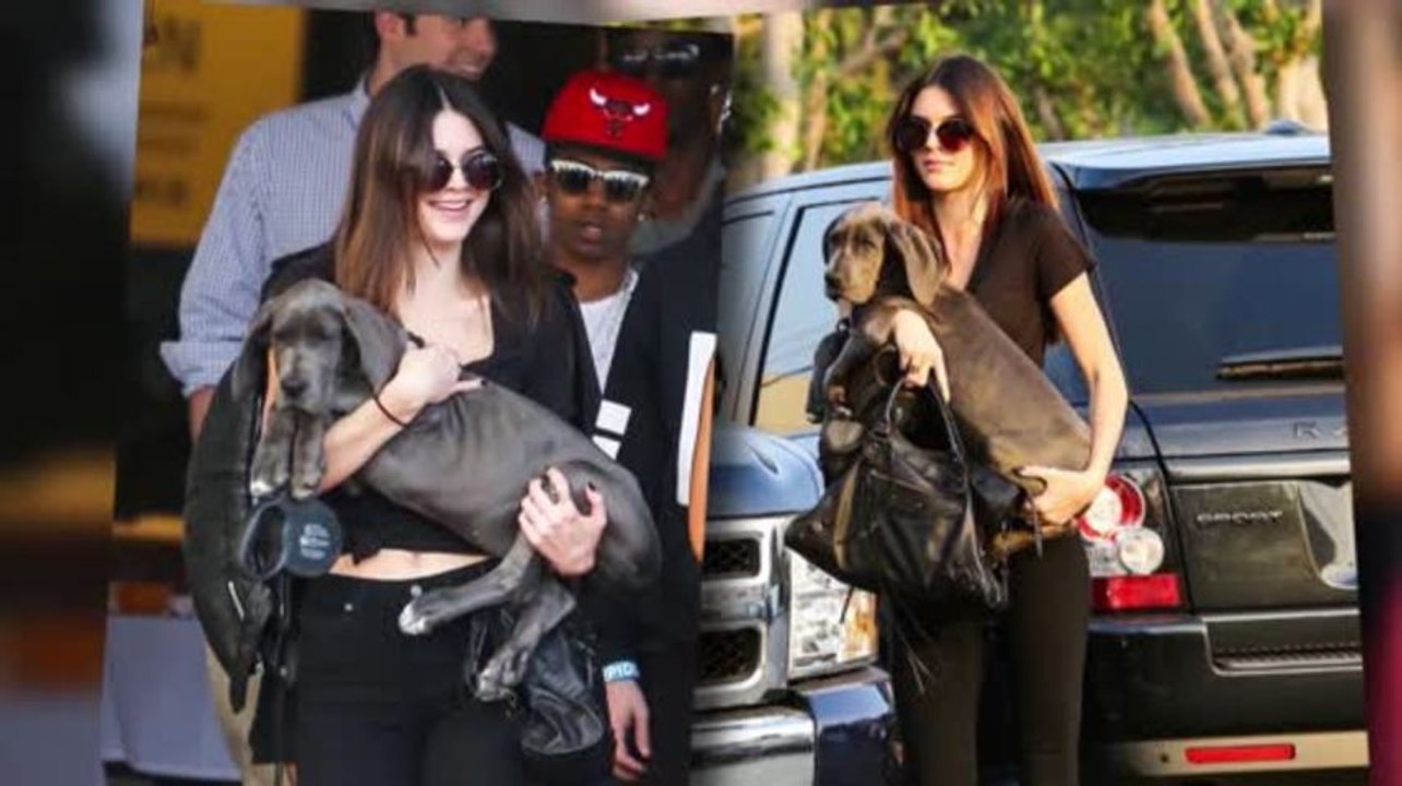 Kendall jenner debuta su cachorro gran danés