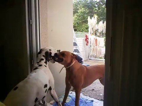 Gandhi et Eros le 26-10-2013 n° 4