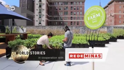 International Reporters | World Stories