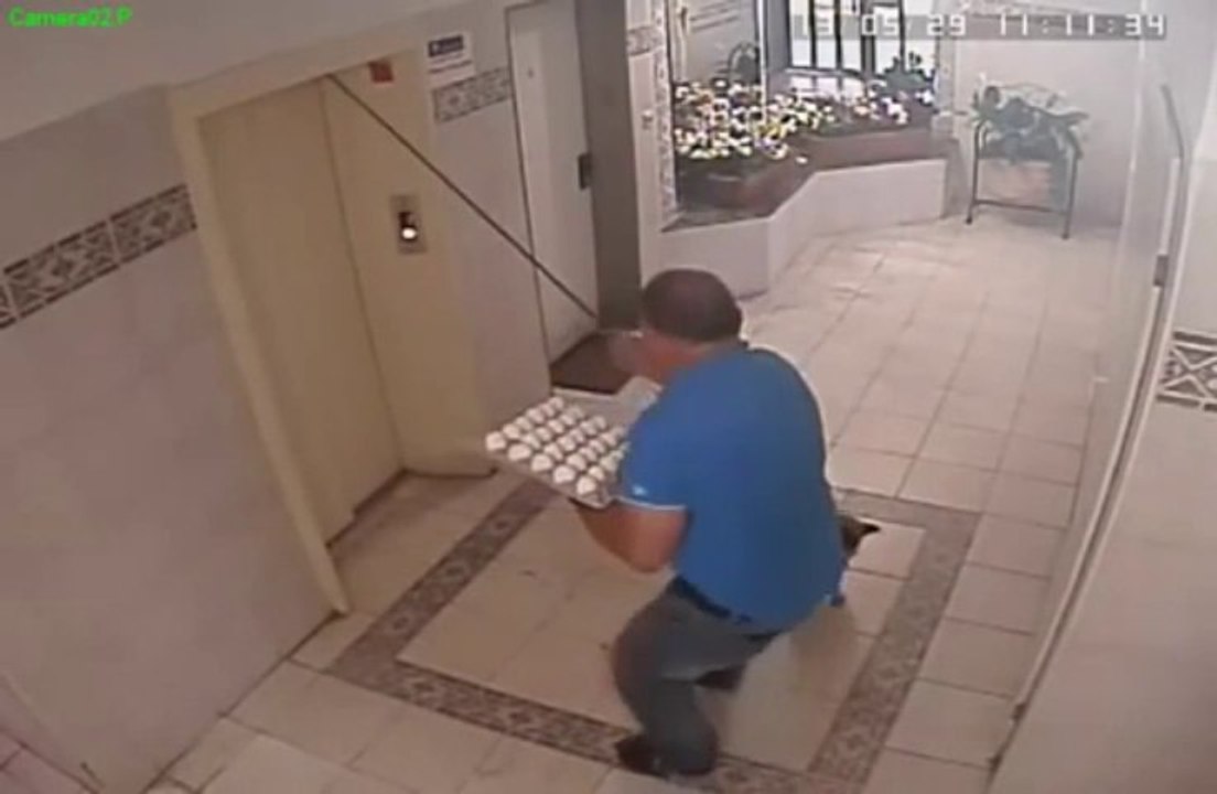 Dog almost killed by an elevator