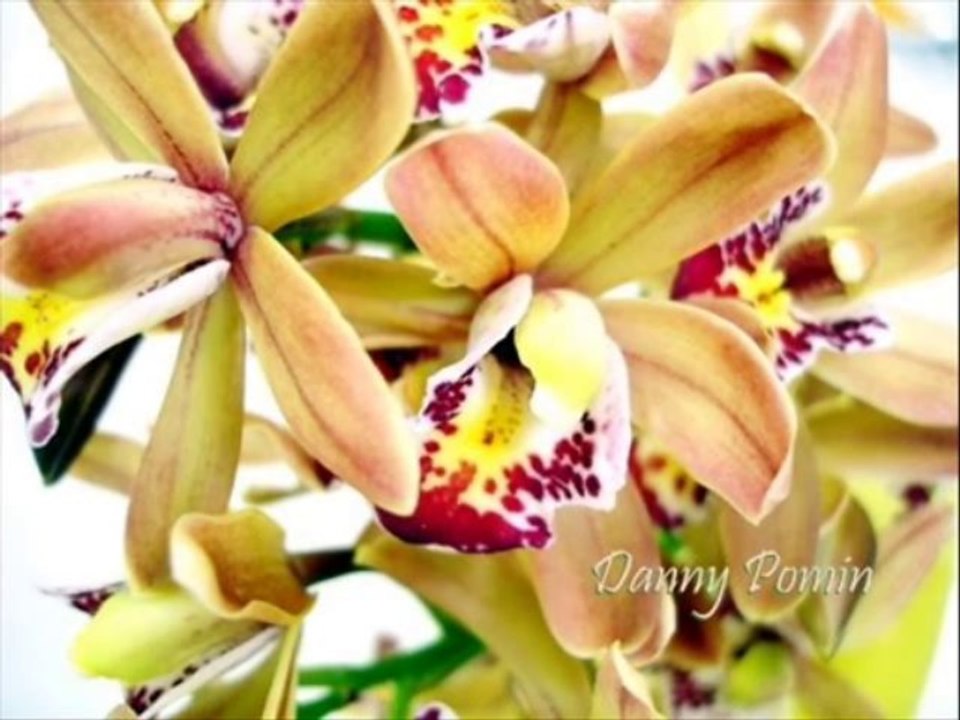 SALMOS CAP  121 - A BIBLIA NA LINGUAGEM DE HOJE