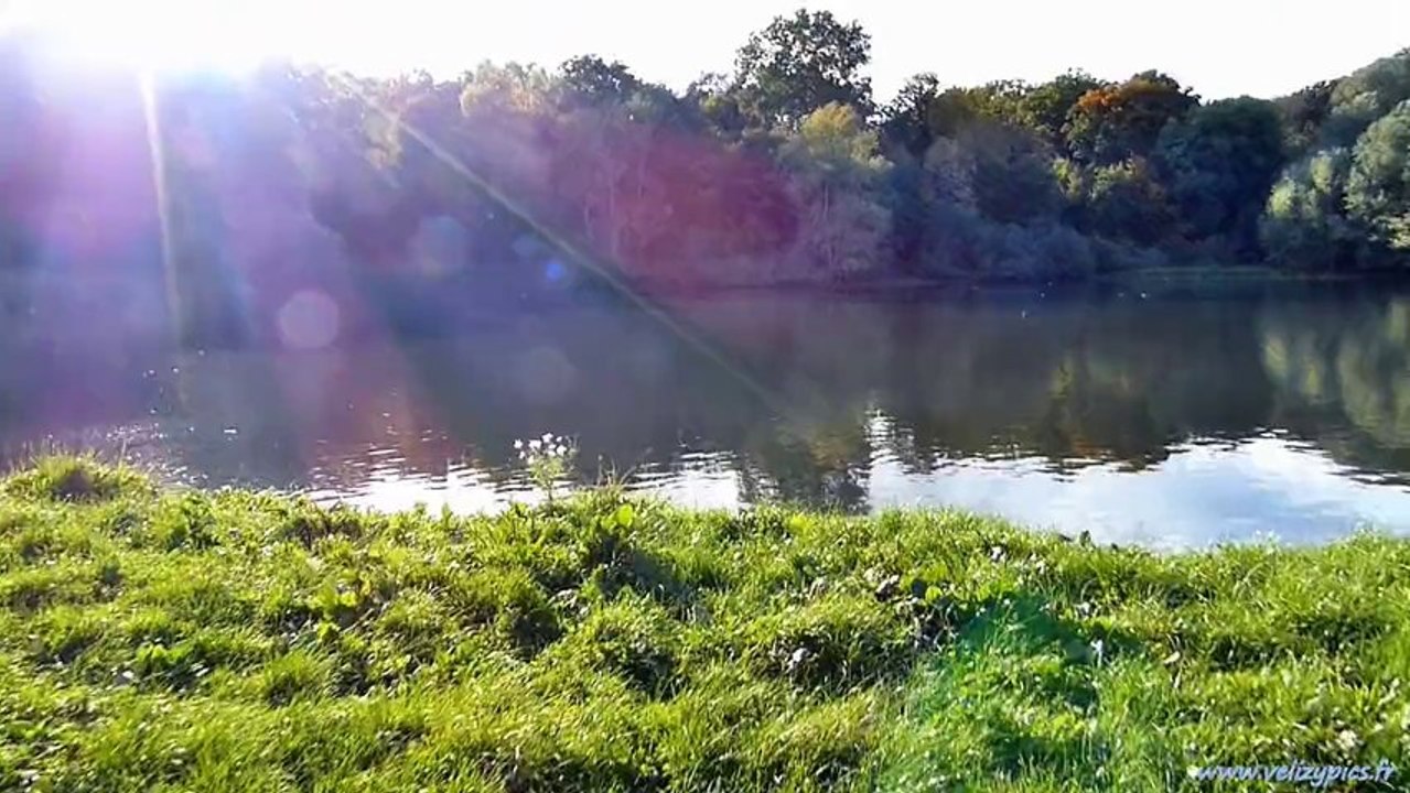 Forêt de Vélizy - Octobre 2013