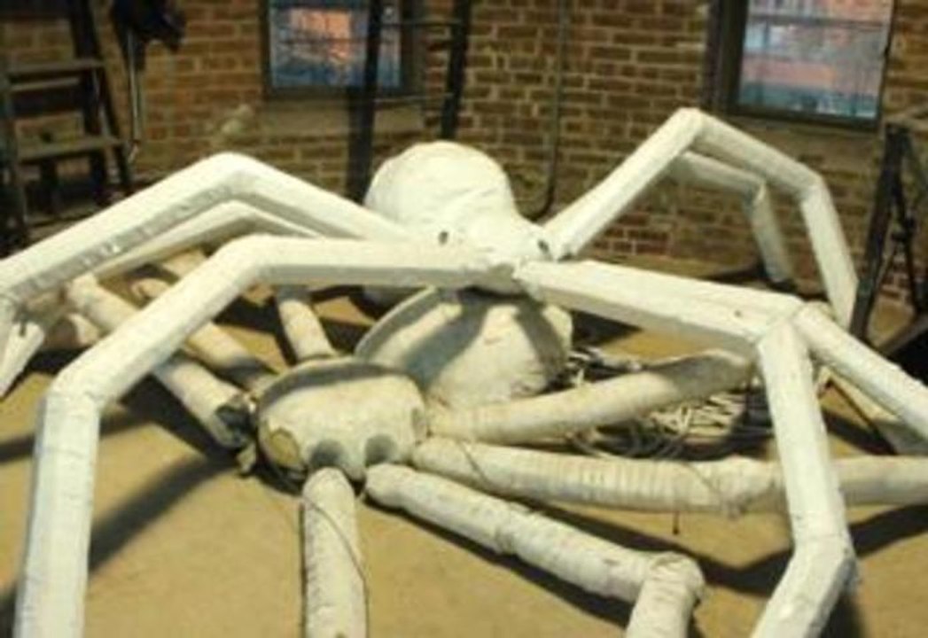 NYC Halloween Parade 2013: Meet ‘Whitey' The Eight Legged Star