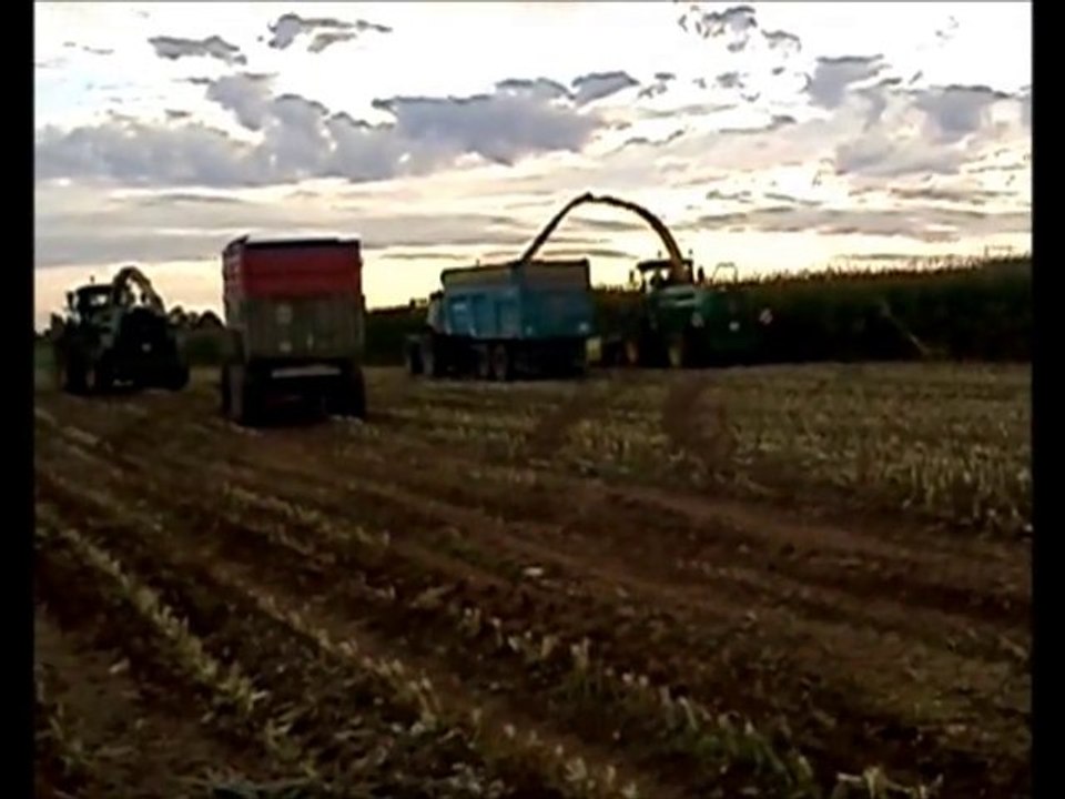 Ensilage de Maïs 2013: n°3