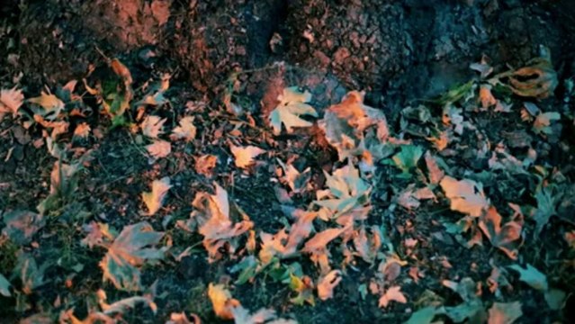 Harun Atmaca - Ne Diyeceğim