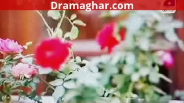 Choti Choti Khushyian By Geo TV Episode 03 24th October 2013 Dramaghar com -480x360