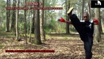 Martial Arts Workout Routine (Autumn Woods)