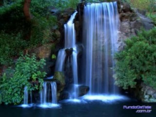 SALMOS CAP 52  - A BIBLIA NA LINGUAGEM DE HOJE