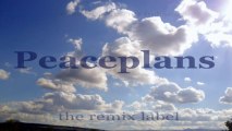 Dubacid - Peaceplans (Paduraru Deeptech Housemusic Mix)
