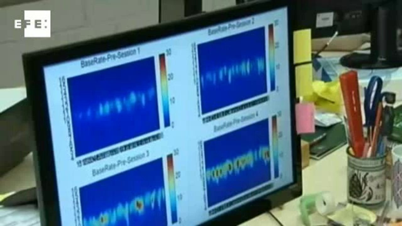 Cientistas desenvolvem máquina que pode melhorar desempenho do cerébro.