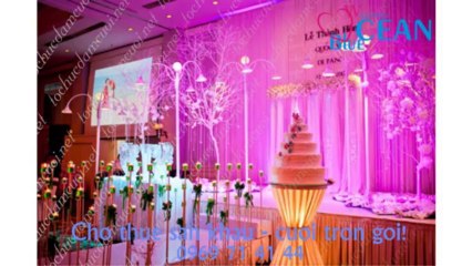 dich vu cuoi hoi giá rẻ _0969 71 41 44