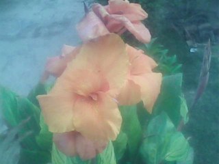 Beautiful Naat By Sheikh Salman Saeed