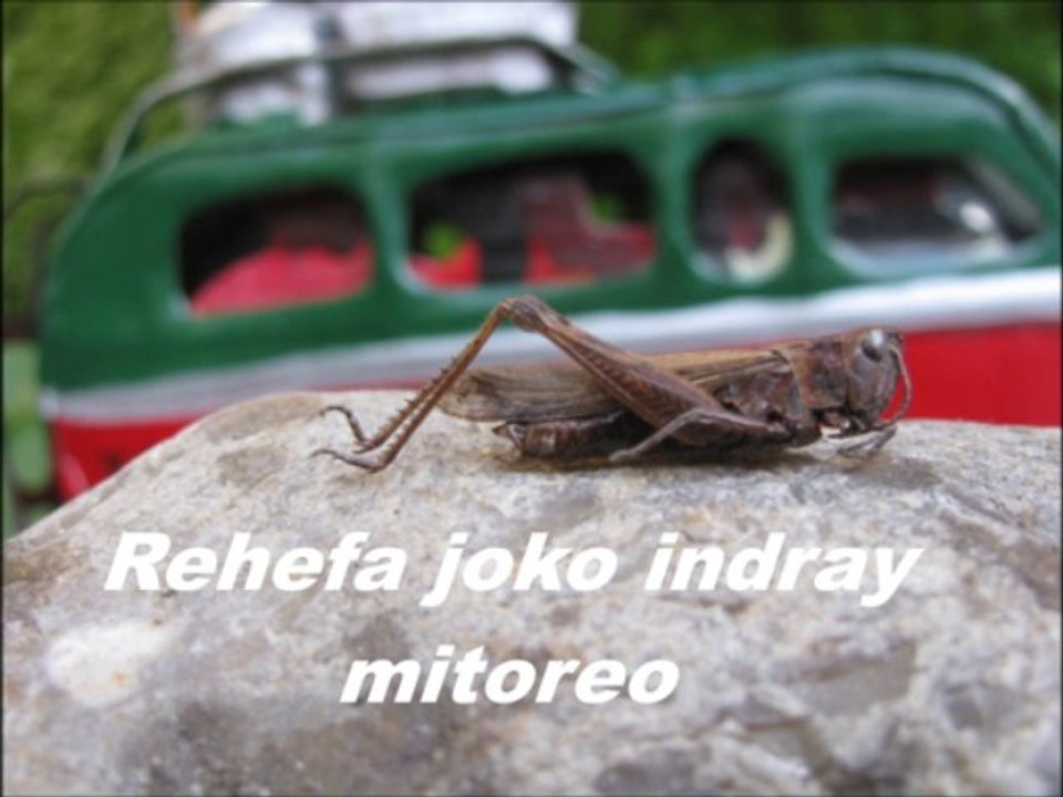 VALALA MANJOHY with LYRICS_oldies madagascar song,kalon'ny fahiny gasy