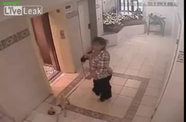 Tasması Asansöre Sıkışan Köpek Ölümden Döndü