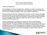 SAP Treasury and Risk Management ONLINE TRAINING IN INDIA@magnifictraining.com