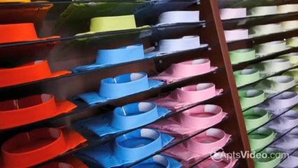 Southwinds Cove Apartments in Leesburg, FL - ForRent.com