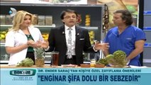 Ender Saraç Enginar Kürü-Enginar Detoksu ile Karaciğer Yağlanması Bitkisel Çözüm