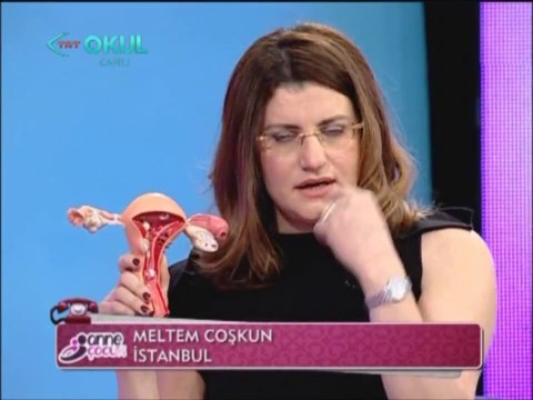 Kadınlarda Cinsel Hastalıklar ve Kısırlık Tedavisi-Vajinal Akıntı Neden Olur