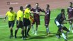 Referee punches footballer