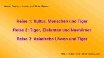 indien-reisen-tiger-elefanten-loewen-direkt-vor-der-linse