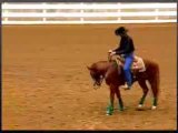 Horse Riding & Training: How to Improve your Stop with Josh Lyon's Special Training