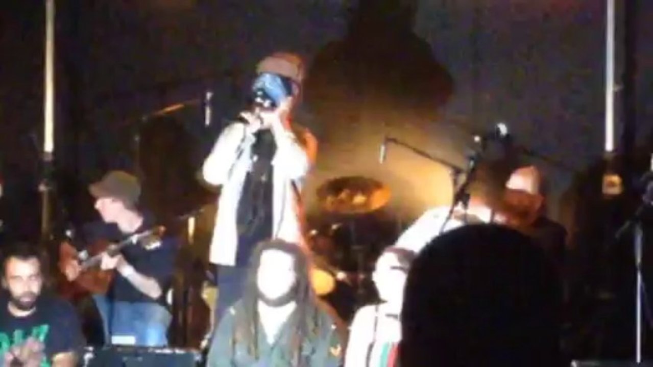 ilements live le 19 octobre 2013