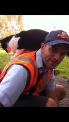 Le facteur et le chat : c'est le grand amour entre eux!