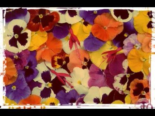 SALMOS CAP 67  - A BIBLIA NA LINGUAGEM DE HOJE