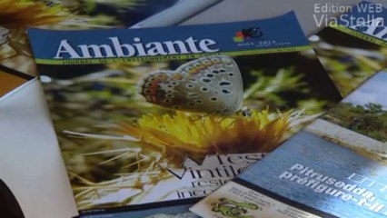 Corse: le Collectif pour la loi littoral s'en prend à l'Etat