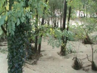 les dégats de l'herbasse à Champos