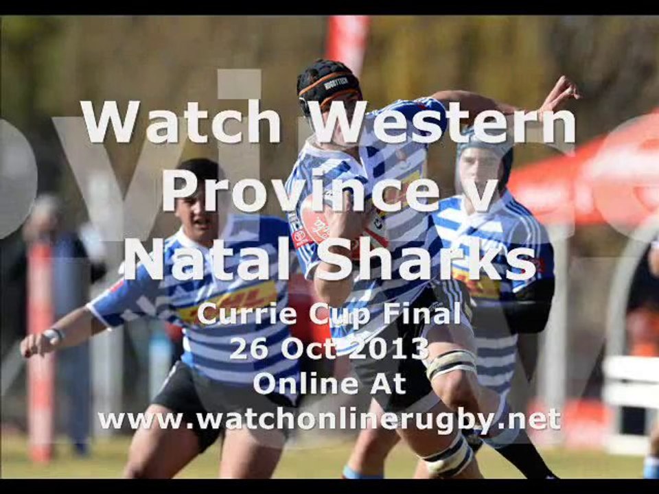 Online Rugby Match Western Province vs Natal Sharks