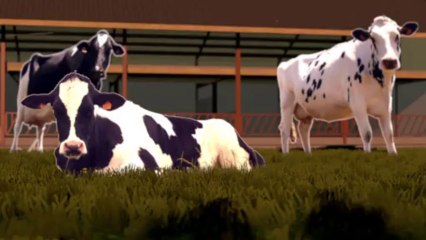 Le passage à l'heure d'hiver