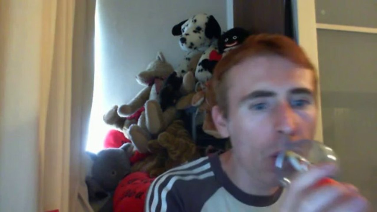 Wiwi égratigne "les langues de chat" de Jane Birkin