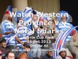 Watch Online Rugby Stream Western Province vs Natal Sharks