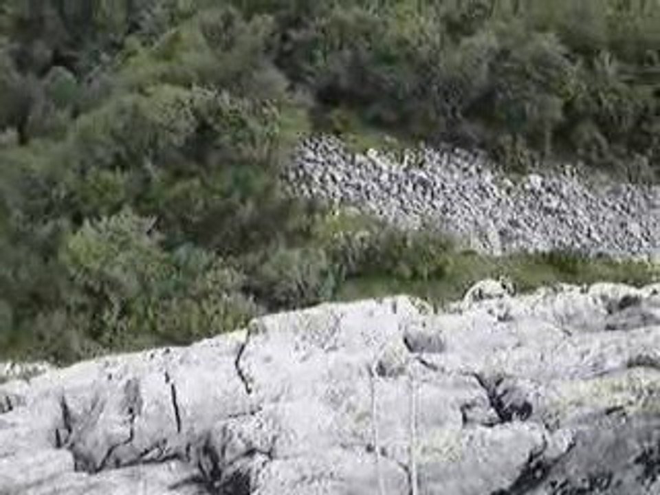 Roc d'Hozière juillet 2006