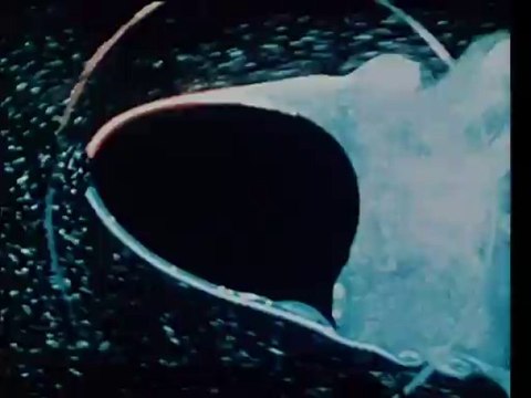 La visualisation hydrodynamique au service de la recherche appliquée - 1989