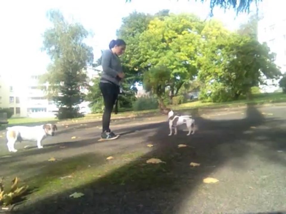 Amy, la balle et 1 pas bougé